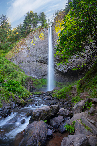 Wide angle, vertical view of Latourell Falls in the Columbia River Gorge, Oregon.