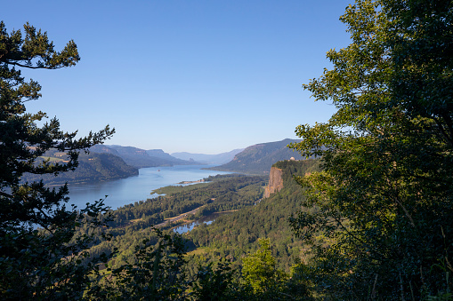 Summer in the Columbia River Gorge, Oregon.
