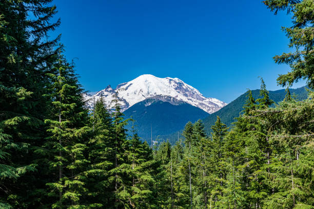 istock Mt. Ranier from Mather Memorial Parkway 1412045858