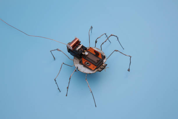 金属くずから作られたロボットスパイダー - surinam cockroach ストックフォトと画像