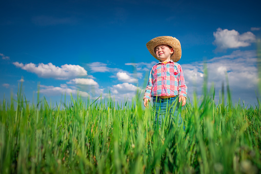 Little farmer boy with straw hat in a green wheat field. Agriculture and farming concept.
