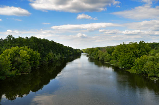 istock River in a forest area against a blue sky 1412048566