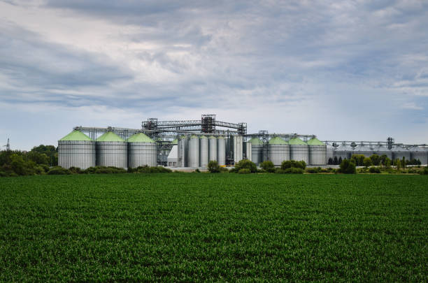 農業現場の近くにある工業用建物や製造設備。エレベーター - massachusetts agriculture crop farm ストックフォトと画像