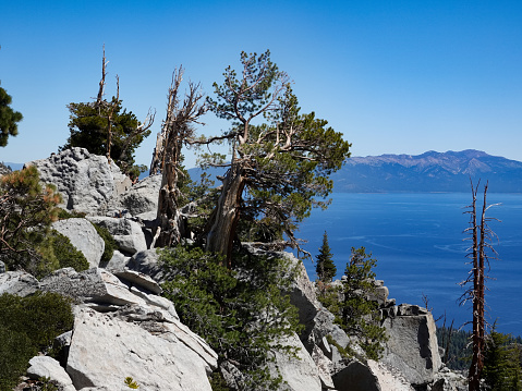 Lake Tahoe from above