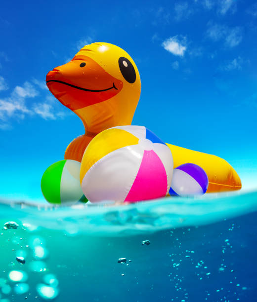 Split half underwater view of the pool inflatable duck swim in the water with color balls