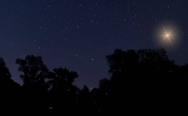 istock Colorful Christmas star over silhouetted trees 1412053834