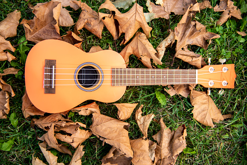 Guitar in the foreground, Autumn park in the background.