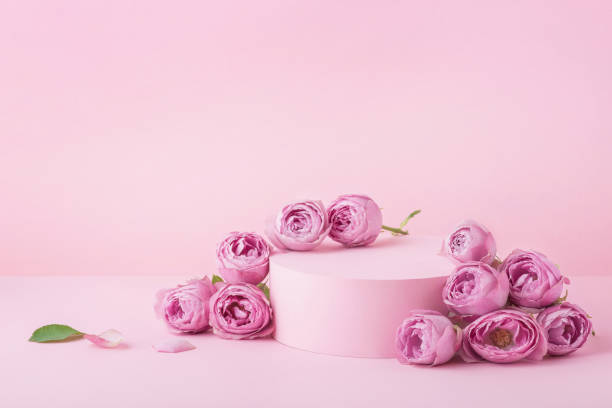 istock pink background with roses and podium for cosmetics and accessories 1412061798