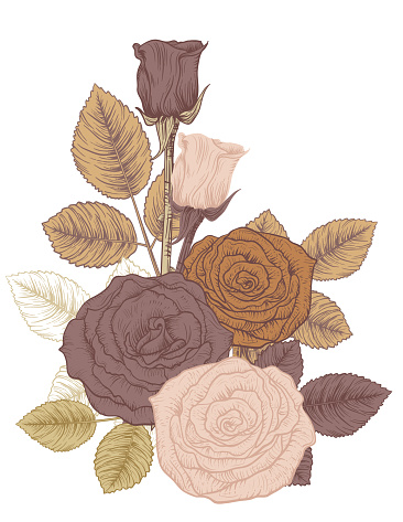 imágenes prediseñadas de flor rosa vector gratis imágenes prediseñadas de flor rosa vector gratis