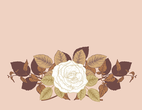 imágenes prediseñadas de flor rosa vector gratis imágenes prediseñadas de flor rosa vector gratis