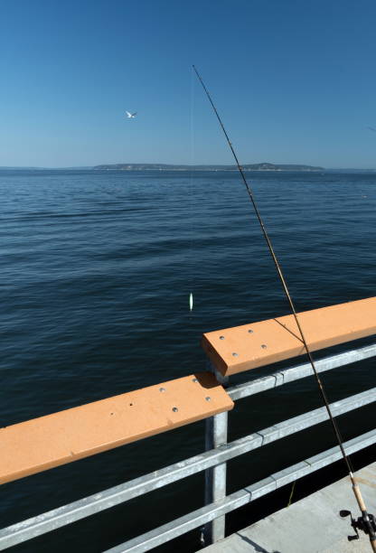 istock Fishing rod at Edmond Pier 1412069290