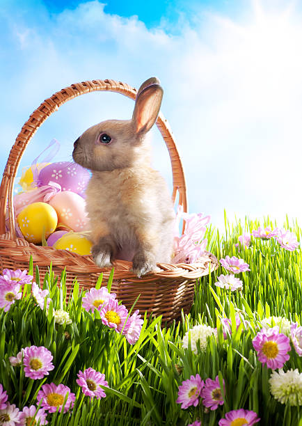 istock Easter basket with decorated eggs and baby bunny 141207185