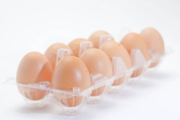 Egg stock photo