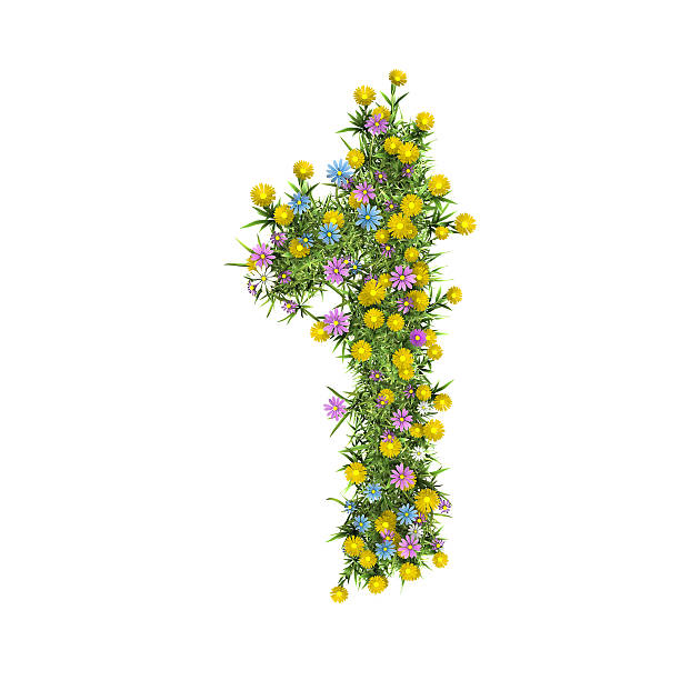 A vibrant spring meadow filled with blooming wild daisies and bright yellow dandelions. The lush green grass serves as a natural backdrop for the scattered white and yellow flowers, creating a cheerful and colorful scene.