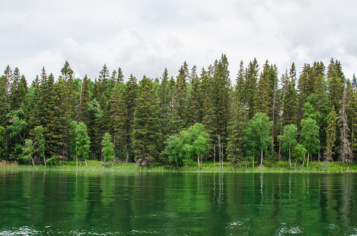 trees line the shore at Child's Lake in Duck Mountain Provincial Park in Manitoba, Canada
