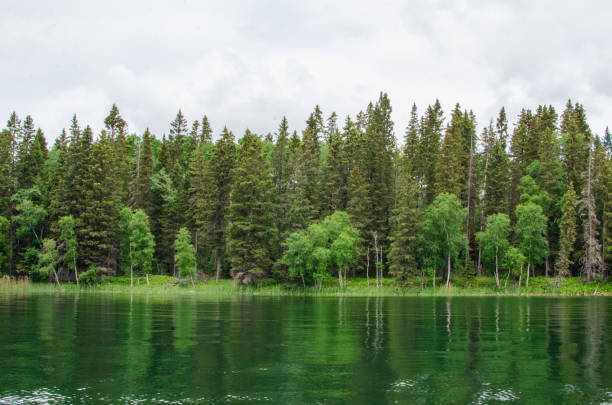 Lake and shoreline in the Manitoba wilderness trees line the shore at Child's Lake in Duck Mountain Provincial Park in Manitoba, Canada duck mountain provincial park stock pictures, royalty-free photos & images