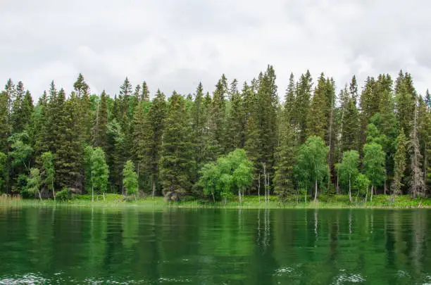 Photo of Lake and shoreline in  the Manitoba wilderness