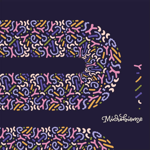 Microbiome abstarct banner design. Probiotics concept. Lactic acid bacteria. Good microorganisms for gut, intestinal flora health. Microflora. Vector flat vector illustration. Microbiome abstarct banner design. Probiotics concept. Lactic acid bacteria. Good microorganisms for gut, intestinal flora health. Microflora. Vector flat vector illustration probiotic pattern stock illustrations