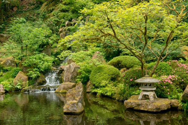 istock Japanese Garden 1412103432