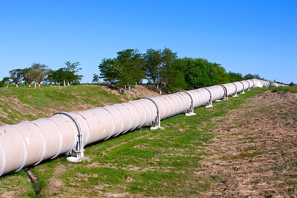 istock Industrial pipe with gas and oil 141210852