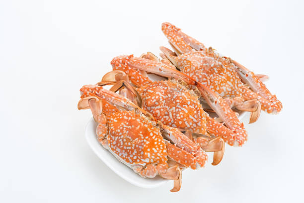 Steamed Blue Crab served on plate, food preparation