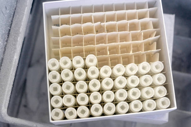 istock Box of Mesenchymal Stem Cells 1412111634
