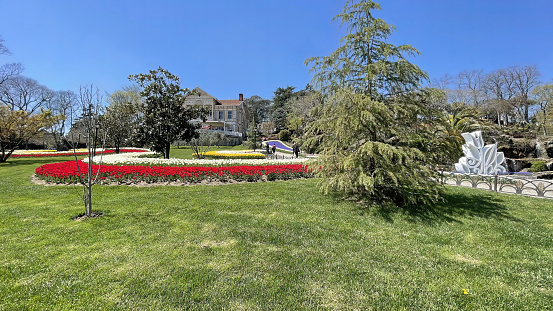 Emirgan,istanbul,Turkey.April 20,2022.Istanbul Tulip Festival. Festival held in parks and groves in Istanbul with the theme of tulip season. Tulip festival views from Emirgan grove in Istanbul and in April