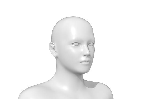 istock Man, Human Male Head, 3D 1412133242