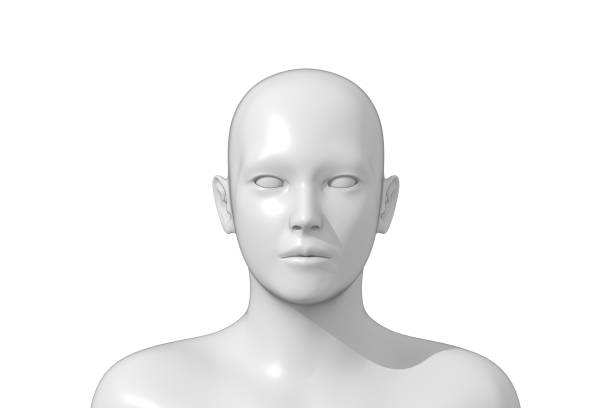 istock Man, Human Male Head, 3D 1412133243