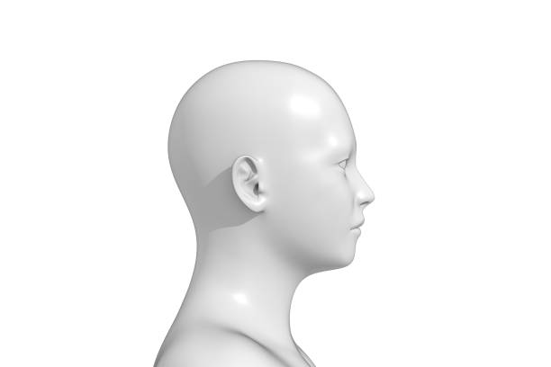 istock Man, Human Male Head, 3D 1412133249