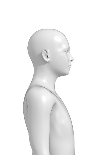 3D model of man’s body. Isolated on white background.