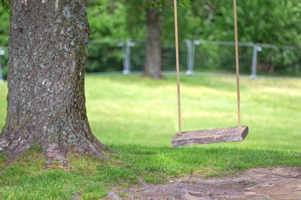istock Empty rope swing on tree with wooden board 1412135092