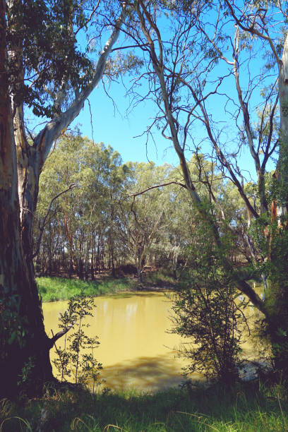 istock Swan Hill, Victoria, Australia 1412135394