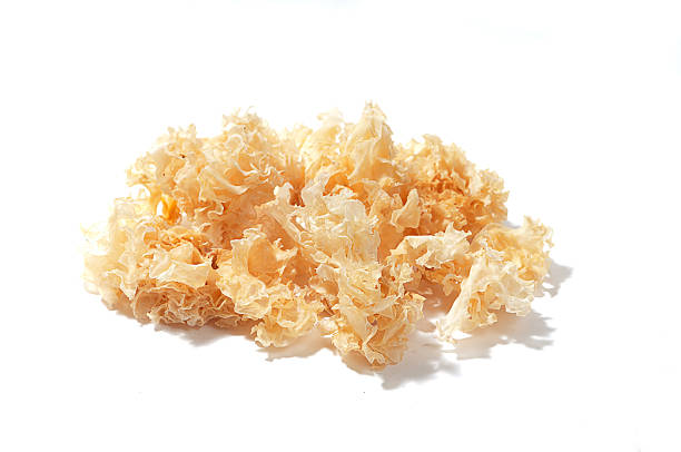 istock snow fungus soup 141213773