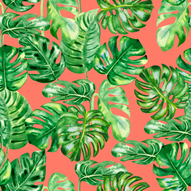 istock Monstera leaves seamless watercolor pattern. Green tropical leaves endless hand drawn background. Exotic natural wallpaper. Print for textiles and clothes. 1412137982