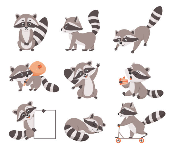 Cartoon Raccoon Stock Photos, Pictures & Royalty-Free Images - iStock