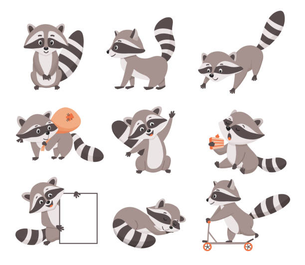 Set of cute character raccoon in different poses. Funny raccoon thief with bag and mask. Vector illustration isolated on white background Set of cute character raccoon in different poses. Funny raccoon thief with bag and mask. Vector illustration isolated on white background cartoon burglar stock illustrations