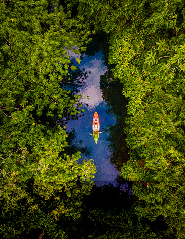 couple in a kayak in the jungle of Krabi Thailand, men and woman in kayak at a tropical jungle in Krabi mangrove forest.