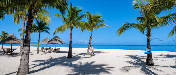 istock Le Morne beach Mauritius,Tropical beach with palm trees and white sand blue ocean and beach beds with umbrella,Sun chairs and parasol under a palm tree at a tropical beac, Le Morne beach Mauritius 1412140112
