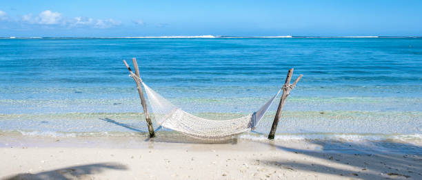 istock tropical beach with hammock in the ocean, white sandy beach with hammock Le Morne beach Mauritius 1412141291