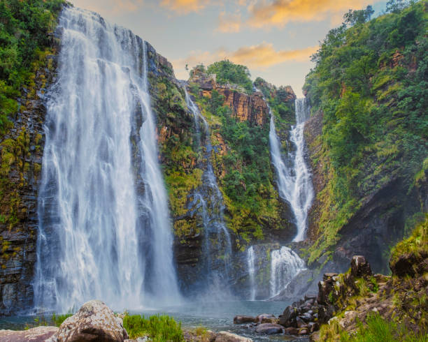 Panorama Route South Africa, Lisbon Falls South Africa, Lisbon Falls in Mpumalanga, South Africa Panorama Route South Africa, Lisbon Falls South Africa, Lisbon Falls is the highest waterfall in Mpumalanga, South Africa. The waterfall is 94 m high. The waterfall lies on the Panorama Route. blyde river canyon stock pictures, royalty-free photos & images