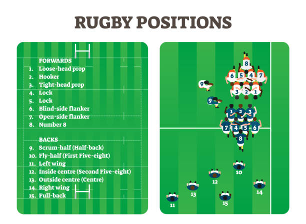 stockillustraties, clipart, cartoons en iconen met rugby positions team group figure scheme, vector illustration players set - rugby scrum