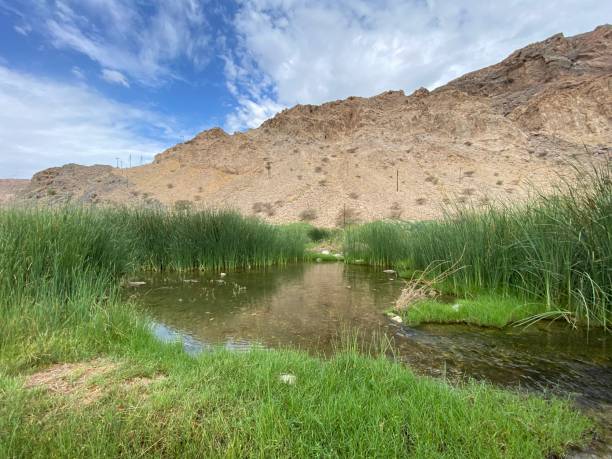 istock Wadis of Oman 1412144998