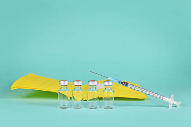 Corona booster vaccine concept Corona booster vaccine concept with 4 vials with syringes and certificate of vaccination in background with copy space crista ampullaris photos stock pictures, royalty-free photos & images
