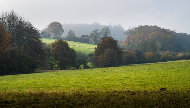 istock Wadhurst High Weald East Sussex 1412146486