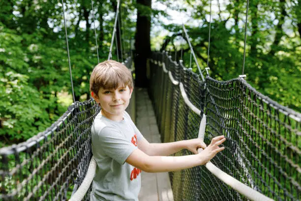 Preteen kid boy walking on high tree-canopy trail with wooden walkway and ropeways on Hoherodskopf in Germany. Happy active young child exploring treetop path. Funny activity for families outdoors.