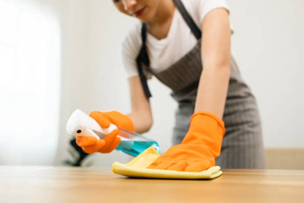 Housewife with rubber gloves and apron with spray bottle and microfiber towel to clean table at apartment. Young woman is happy to clean home. Maid cleaning service. Housewife with rubber gloves and apron with spray bottle and microfiber towel to clean table at apartment. Young woman is happy to clean home. Maid cleaning service. maid housework stock pictures, royalty-free photos & images