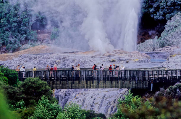 Pohutu Geyser Pohutu Geyser is a geyser in the Whakarewarewa Thermal Valley, Rotorua, in the North Island of New Zealand. whakarewarewa stock pictures, royalty-free photos & images