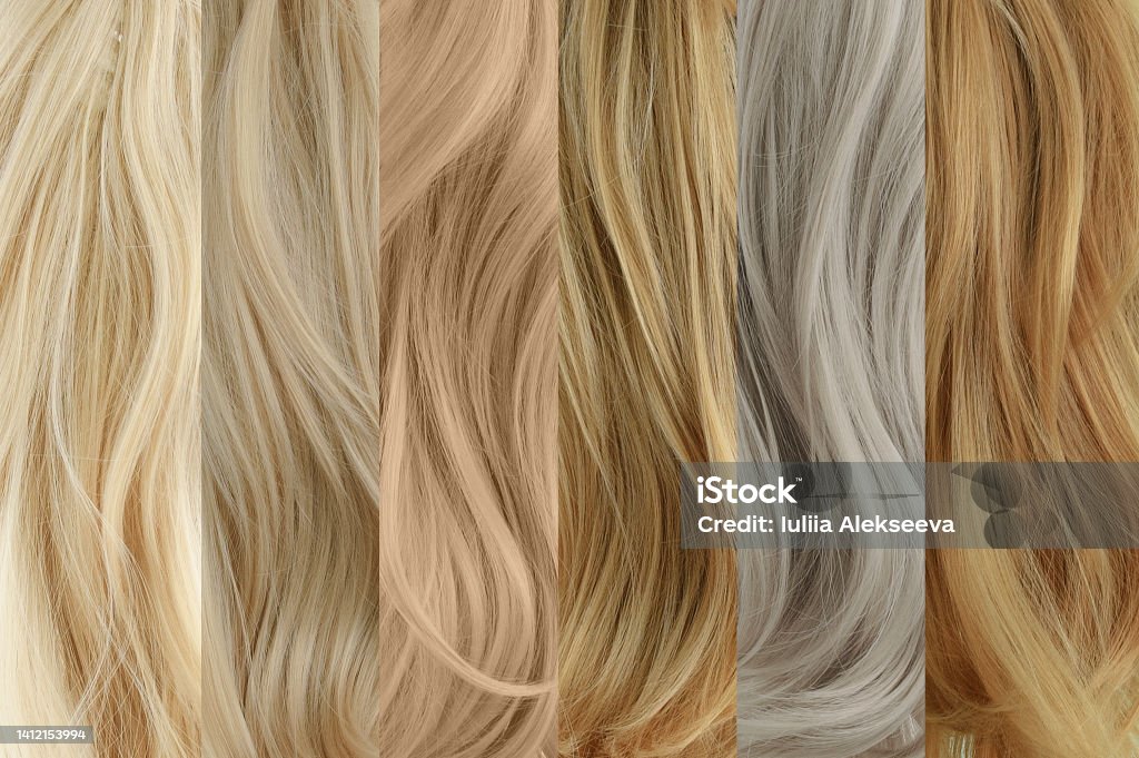 Six Samples Of Strands Blonde Hair In Different Shades Hair Coloring Hair  Dye Stock Photo - Download Image Now - iStock