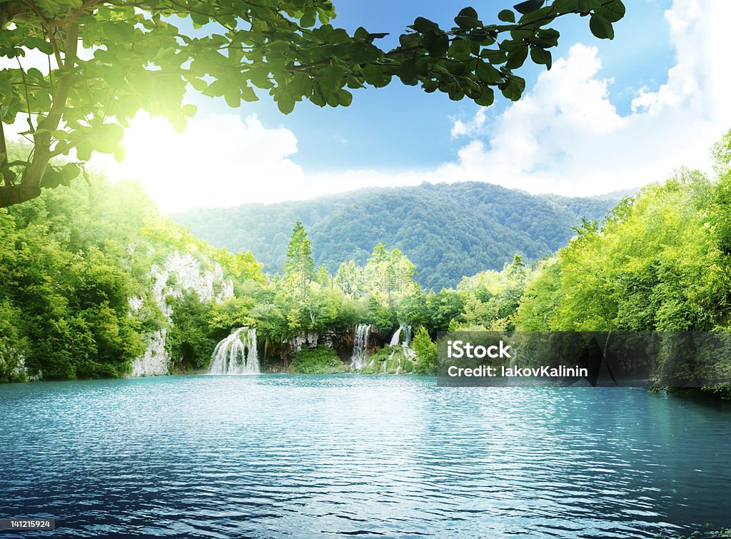 lake in deep forest Lake Stock Photo
